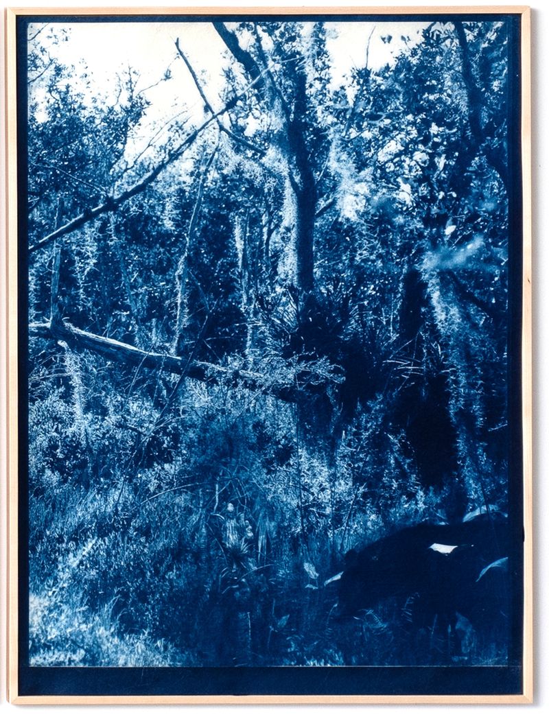 © Itamar Freed - Image from the Lucid Dreams photography project