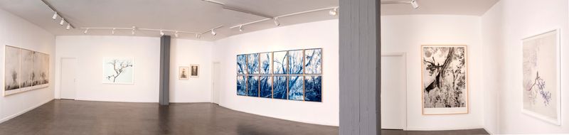 © Itamar Freed - Lucid Dreams installation view