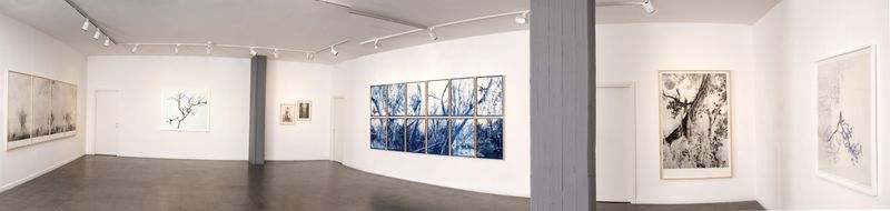© Itamar Freed - Lucid Dreams installation view