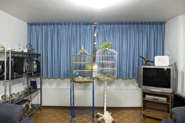 © Adam Wiseman - Image from the Windows of Tlatelolco photography project