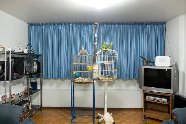 © Adam Wiseman - Image from the Windows of Tlatelolco photography project