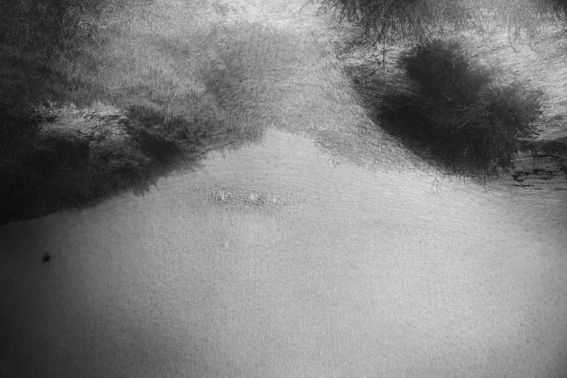 © sandra paul - Image from the ADHERENCES AND INDELIBLE SIGNS photography project