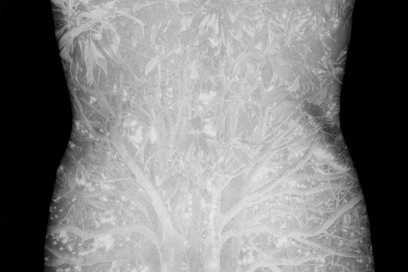 © sandra paul - Image from the ADHERENCES AND INDELIBLE SIGNS photography project