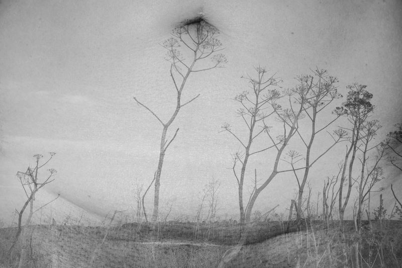 © sandra paul - Image from the ADHERENCES AND INDELIBLE SIGNS photography project
