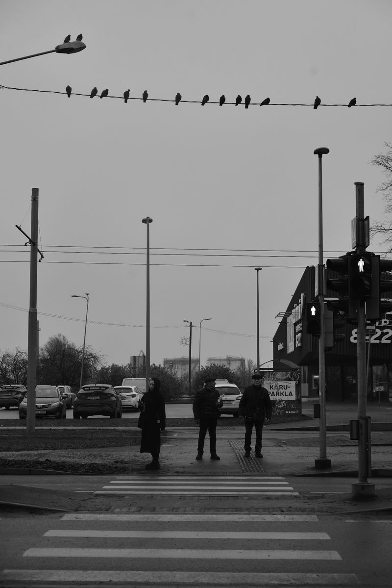 © Reispass - Image from the Drifting with my daughter photography project