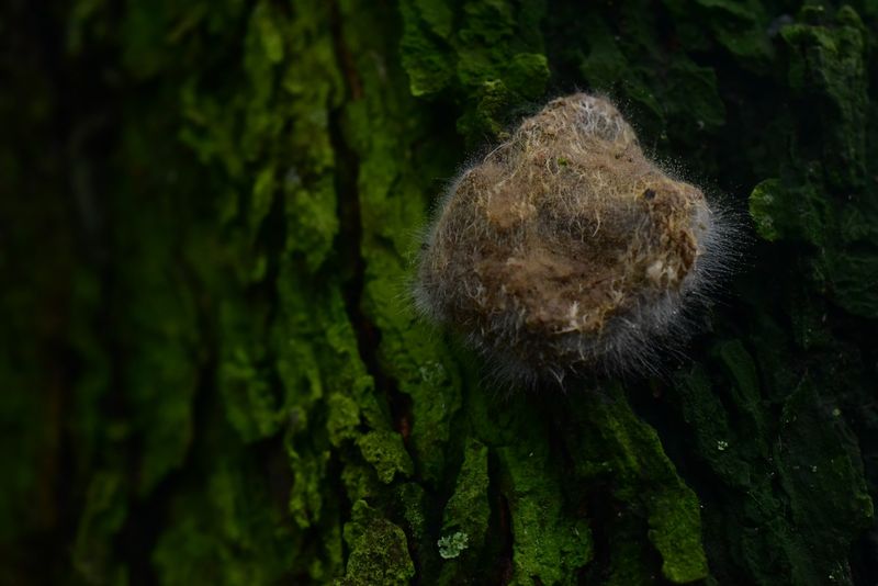 © Reispass - Image from the Drifting with my daughter photography project