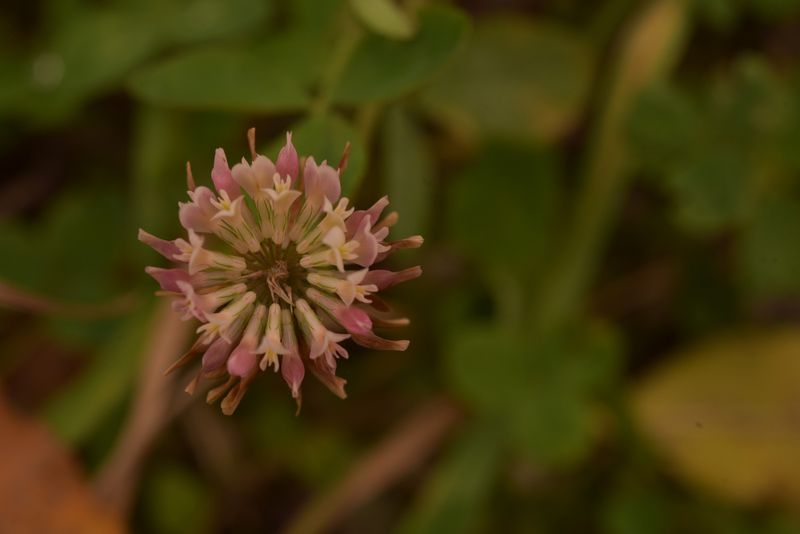 © Reispass - Image from the Drifting with my daughter photography project