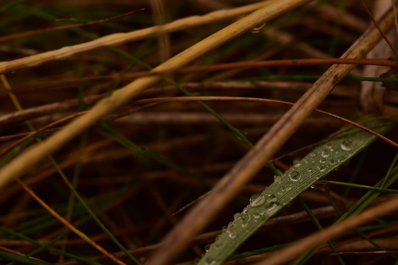 © Reispass - Image from the Drifting with my daughter photography project