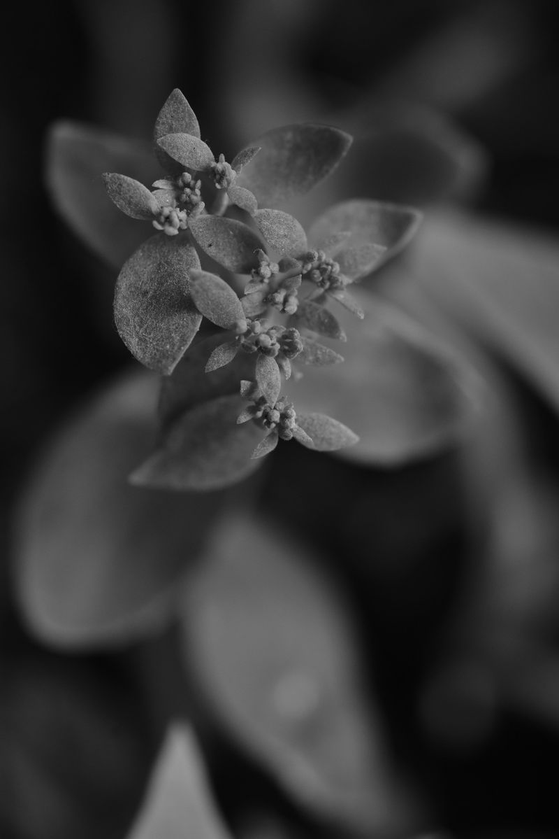 © Reispass - Image from the Drifting with my daughter photography project