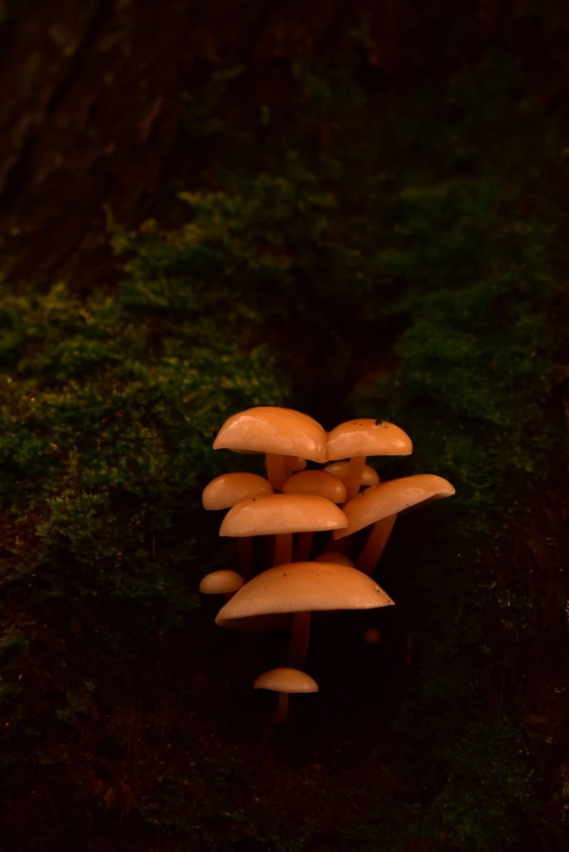 © Reispass - Image from the Drifting with my daughter photography project