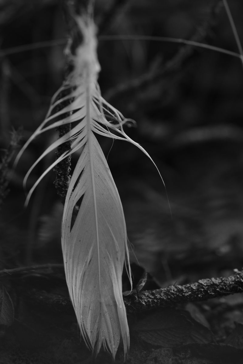 © Reispass - Image from the Drifting with my daughter photography project