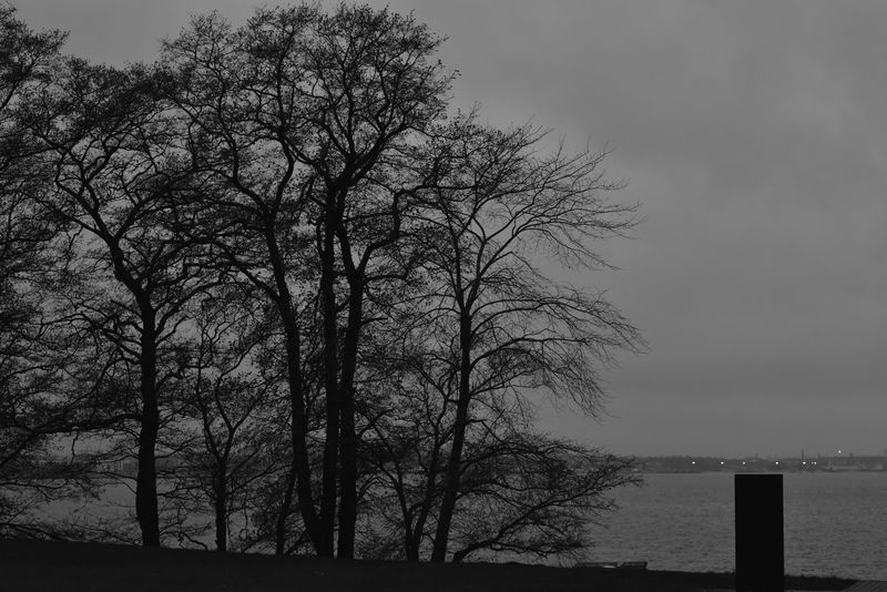 © Reispass - Image from the Drifting with my daughter photography project