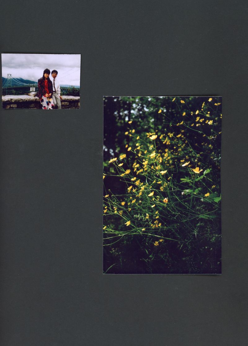 © Amy Li - Image from the Mountain View photography project
