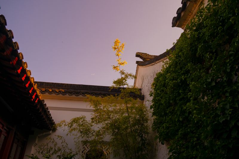 © Amy Li - Image from the Mountain View photography project