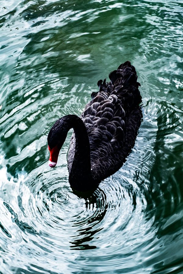 © Amy Li - Image from the Mountain View photography project