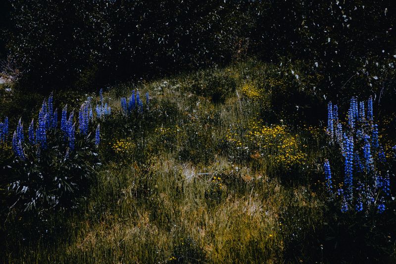 © Amy Li - Image from the Mountain View photography project