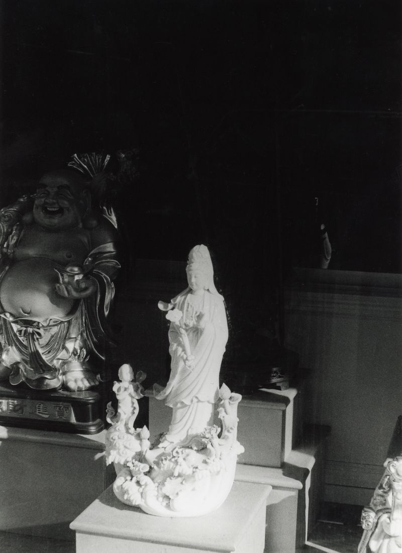 © Amy Li - Image from the Mountain View photography project