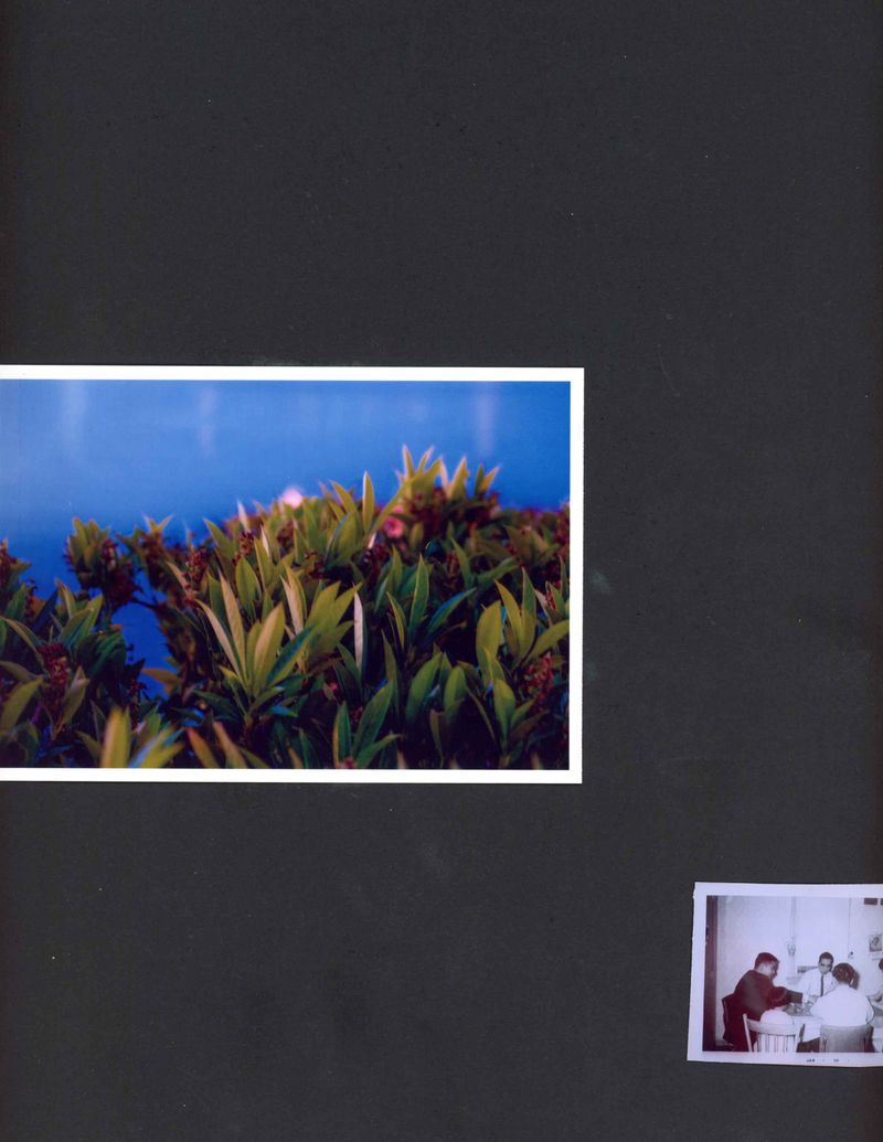 © Amy Li - Image from the Mountain View photography project