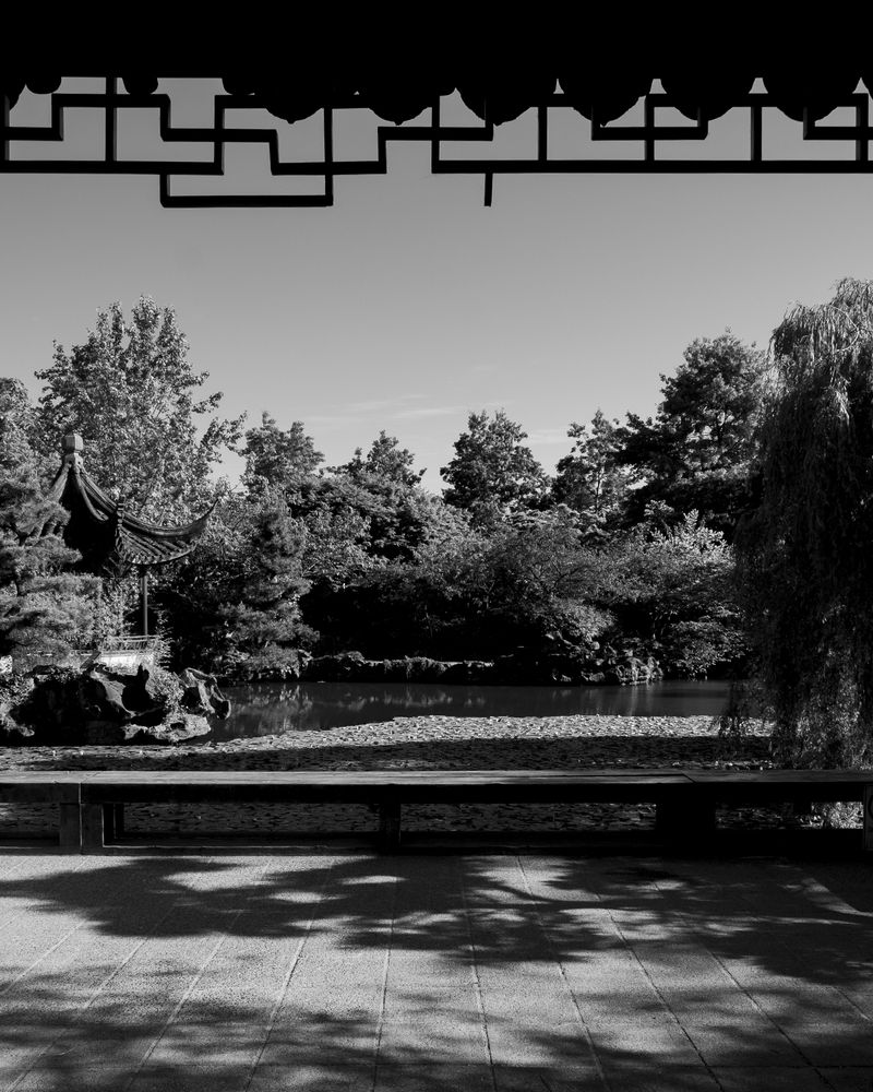© Amy Li - Image from the Mountain View photography project