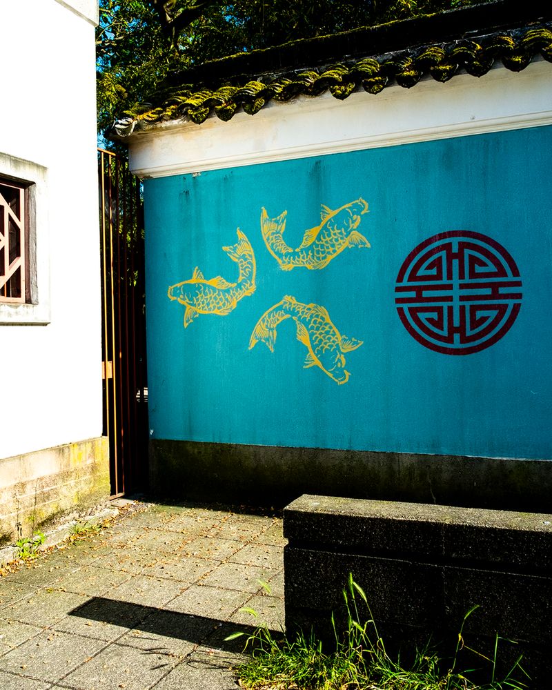 © Amy Li - Image from the Mountain View photography project