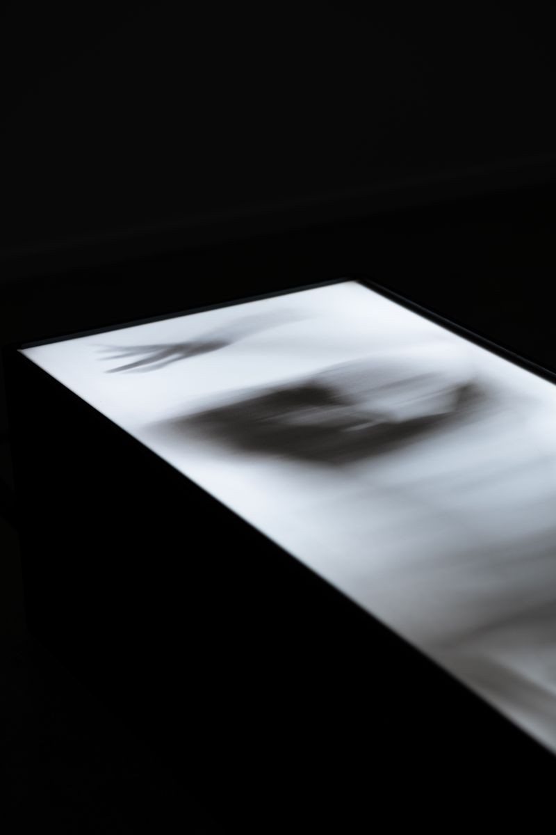 © Anna Revesz - Image from the Divine Machina photography project