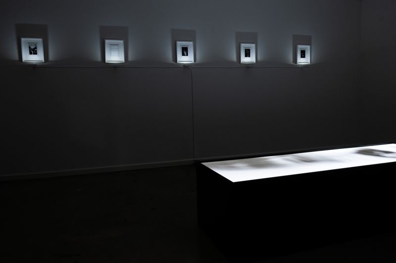 © Anna Revesz - 'Divine Machina' installation view at Praxis Artspace Gallery (Adelaide, South Australia). Image by Anna Revesz.