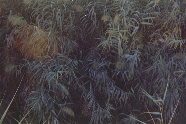 © Sana Ahmadizadeh - Image from the The Eighth Day photography project