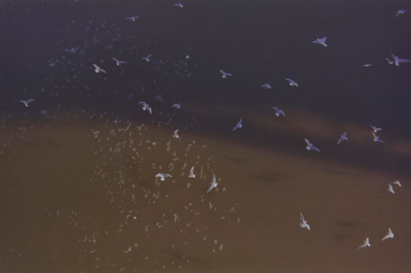 © Sana Ahmadizadeh - Image from the The Eighth Day photography project