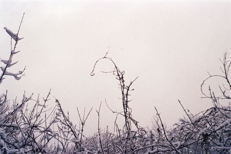 © brynne quinlan - Untitled (Step one)