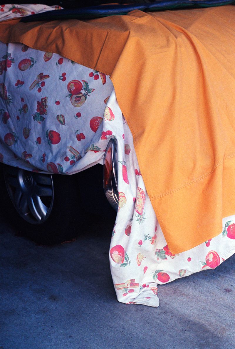 © brynne quinlan - Image from the City of Seven Hills photography project