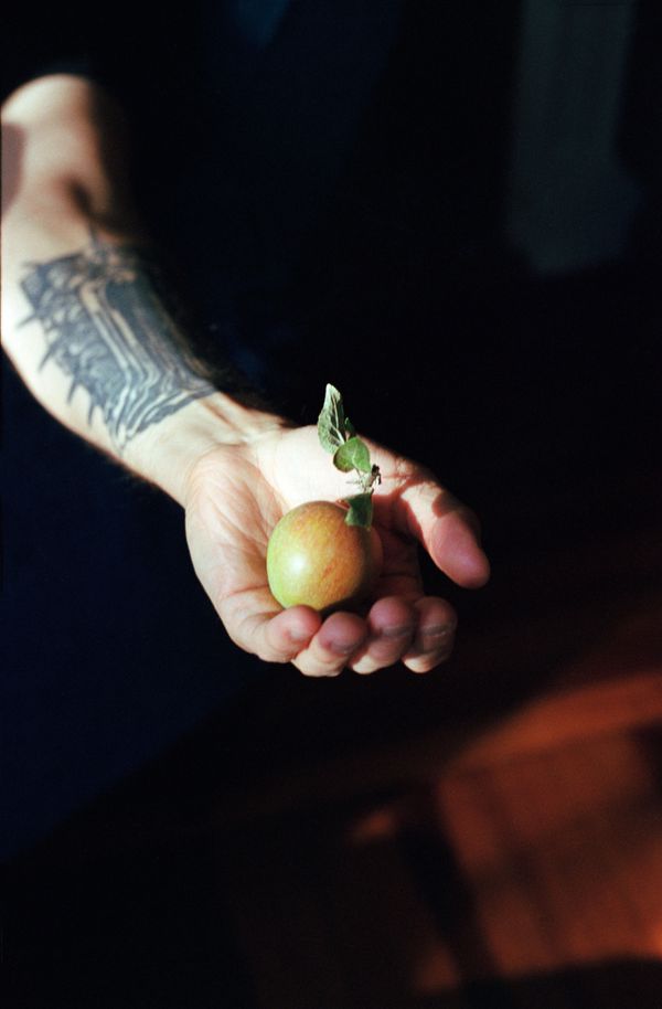 © brynne quinlan - Image from the City of Seven Hills photography project