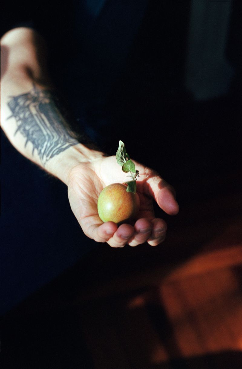 © brynne quinlan - Image from the City of Seven Hills photography project