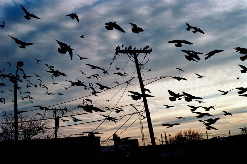 © brynne quinlan - Image from the City of Seven Hills photography project