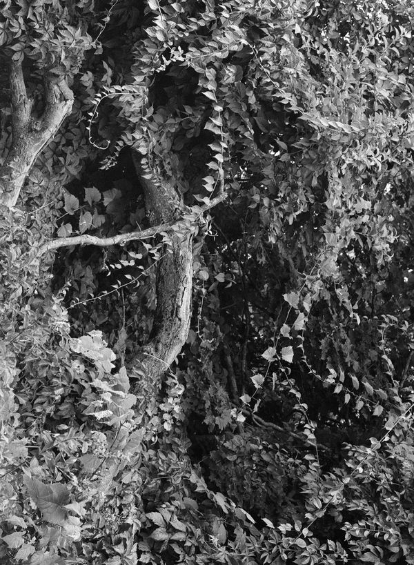 © brynne quinlan - Image from the Anything Worth Doing photography project