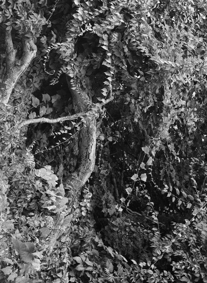 © brynne quinlan - Image from the Anything Worth Doing photography project