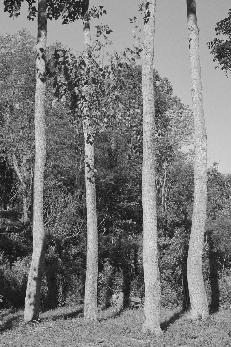 © brynne quinlan - Image from the Anything Worth Doing photography project