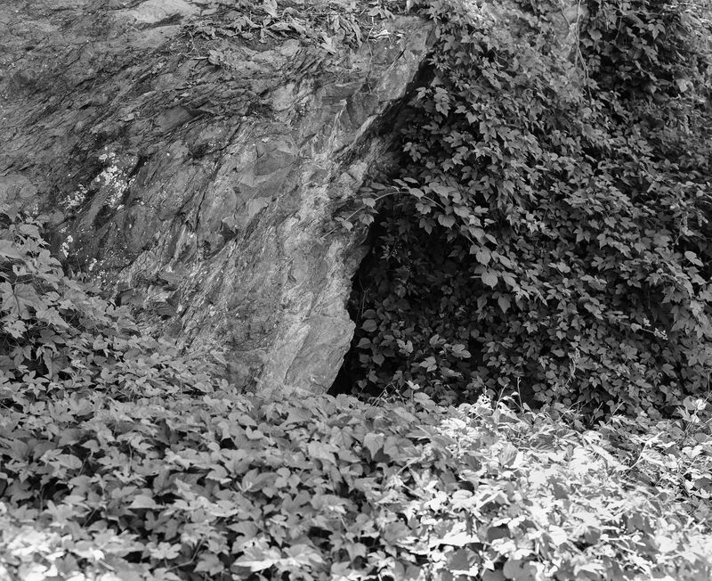 © brynne quinlan - Image from the Anything Worth Doing photography project