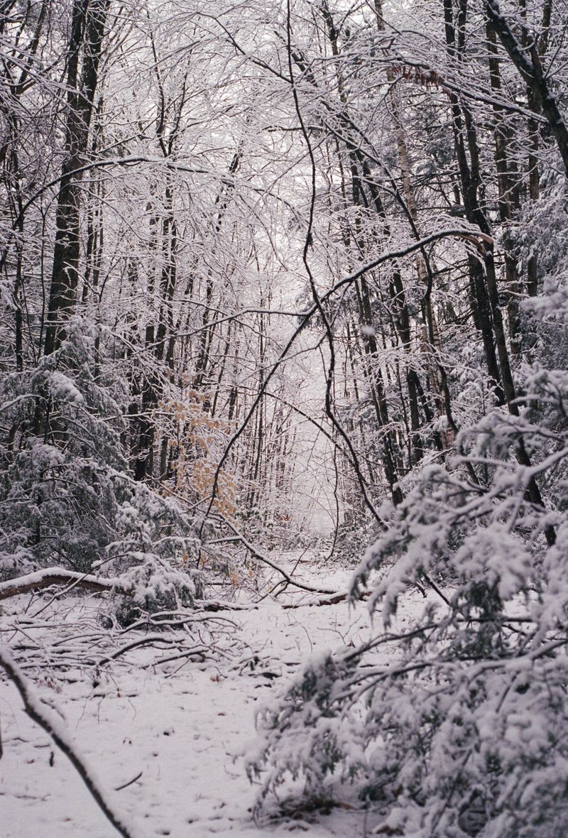 © brynne quinlan - Image from the Step work photography project
