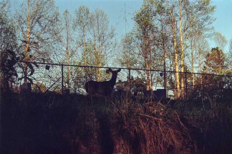 © brynne quinlan - Image from the Step work photography project