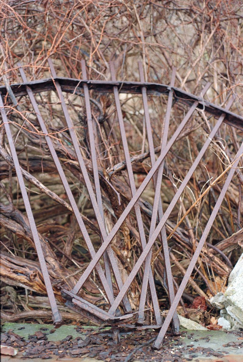 © brynne quinlan - Image from the Odd Little Present photography project