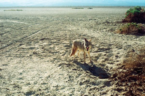 © brynne quinlan - Image from the Odd Little Present photography project