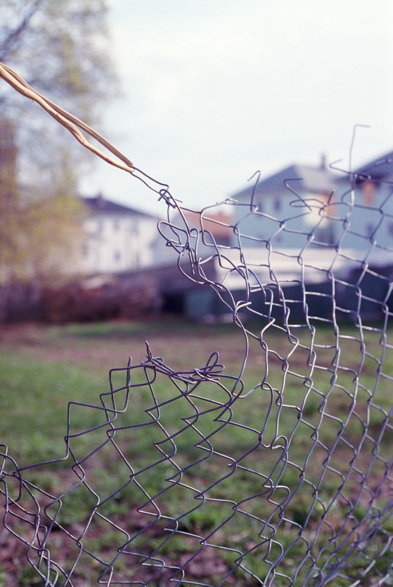 © brynne quinlan - Image from the Odd Little Present photography project