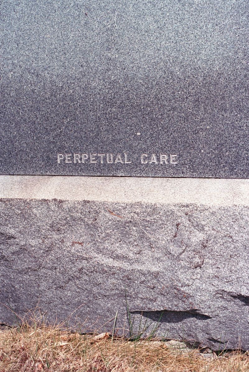 © brynne quinlan - Image from the Odd Little Present photography project