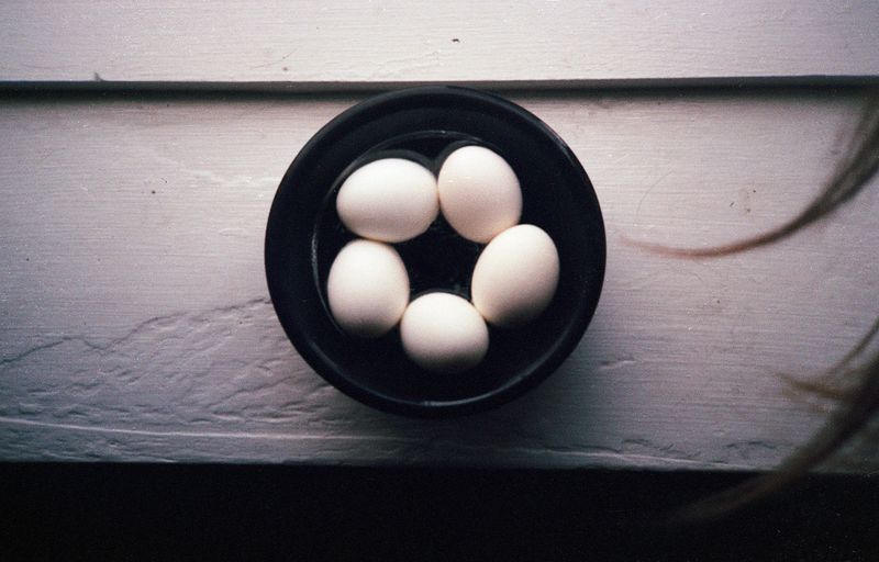 © brynne quinlan - Image from the Odd Little Present photography project