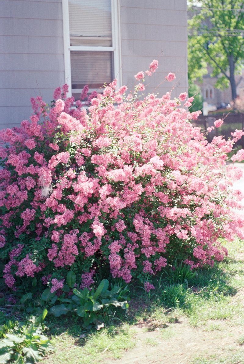 © brynne quinlan - Image from the Odd Little Present photography project