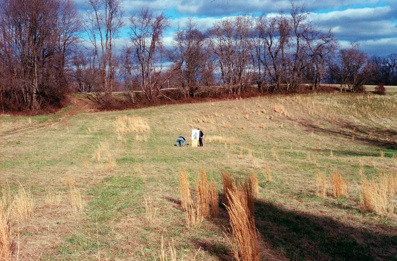 © brynne quinlan - Image from the A Totality of True Thoughts photography project