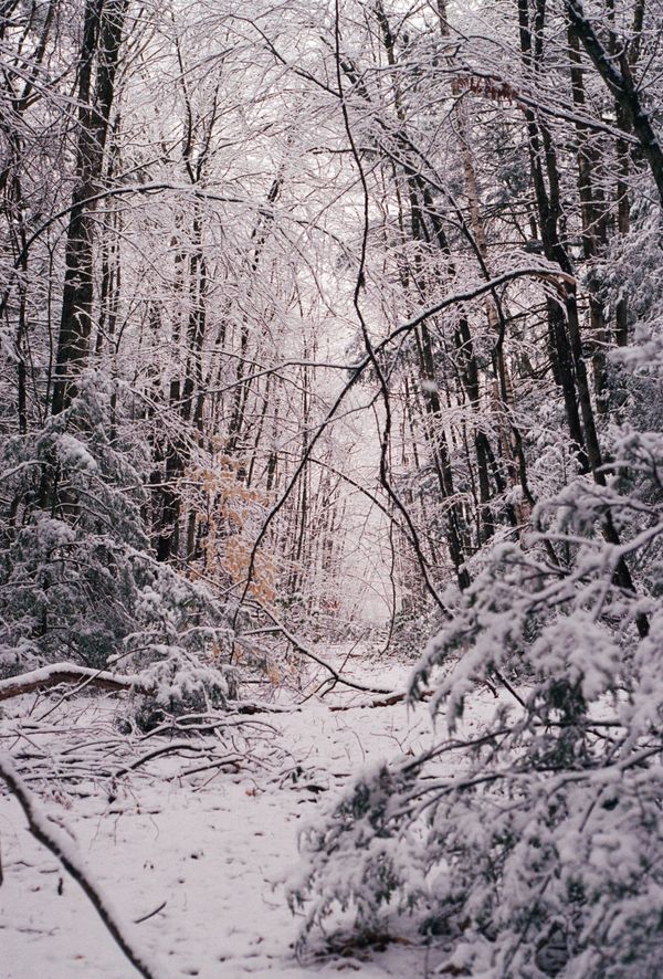 © brynne quinlan - Image from the A Totality of True Thoughts photography project