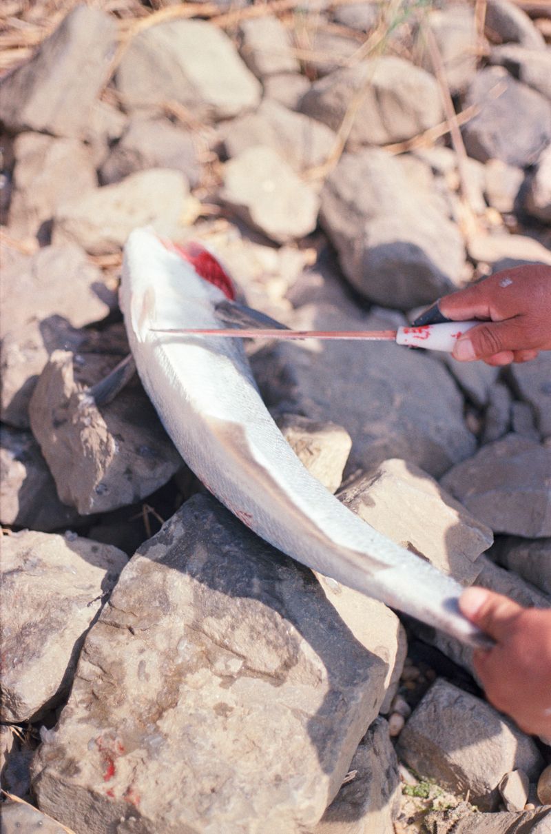 © brynne quinlan - Image from the A Totality of True Thoughts photography project