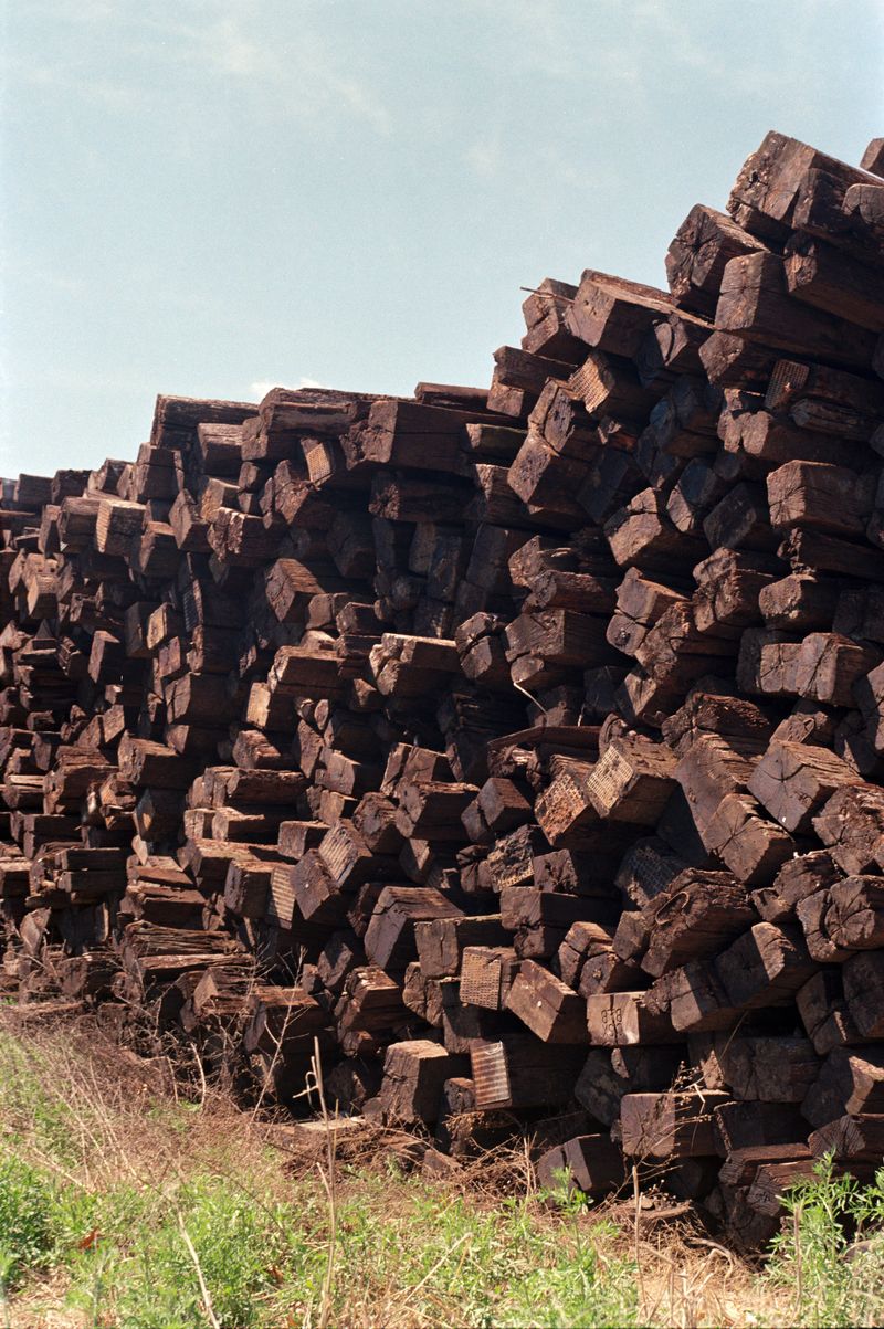 © brynne quinlan - Image from the A Totality of True Thoughts photography project