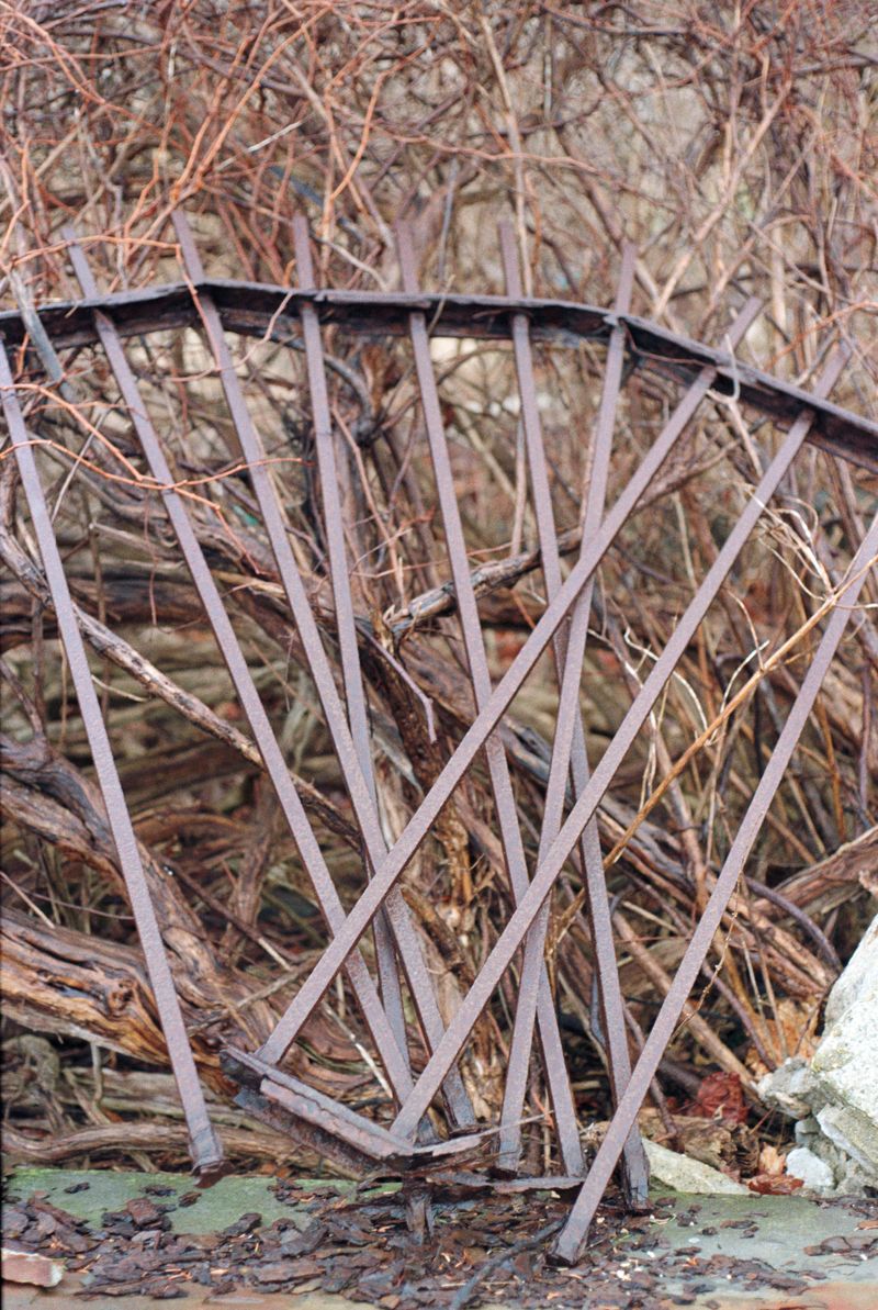 © brynne quinlan - Image from the A Totality of True Thoughts photography project